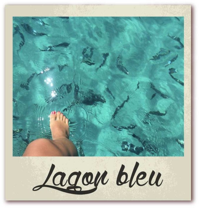 Polaroid livre or corse golfe de lava location villa lagon bleu