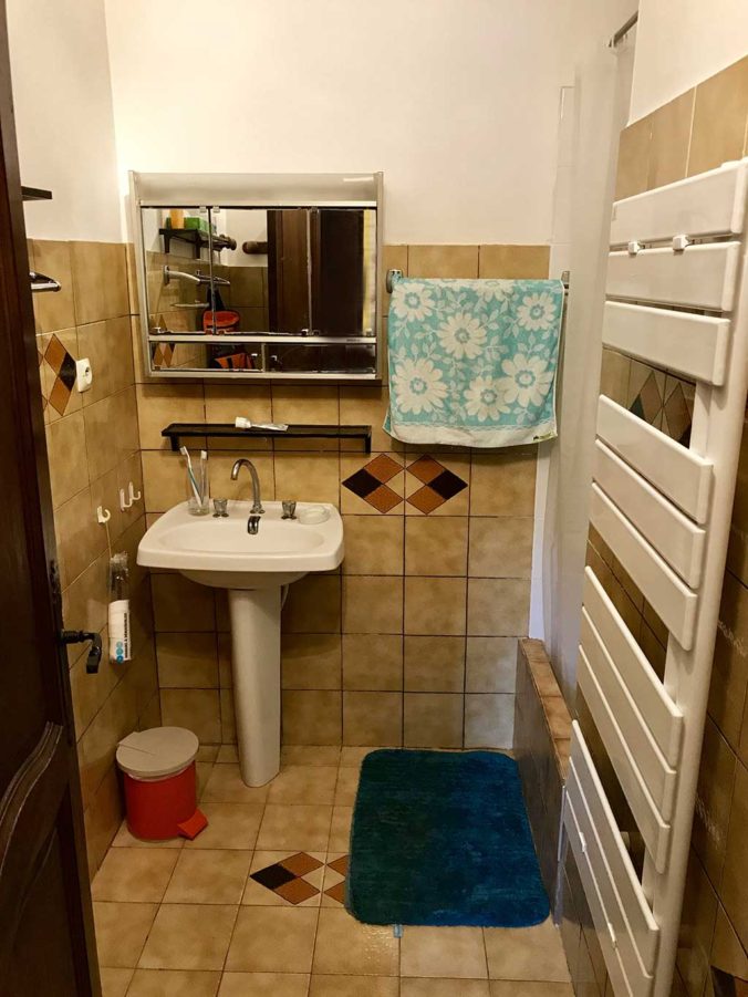 Salle de bain, 1 vasque avec une douche et sèche-serviettes