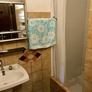 Salle de bain, 1 vasque avec une douche et sèche-serviettes